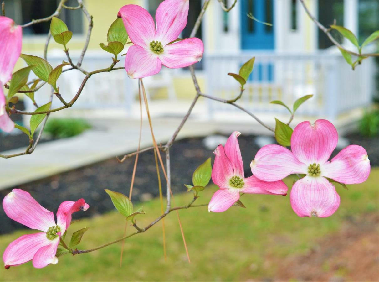 Meris Gardens B&B 贝瑟尼滩 外观 照片